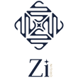 Zi Origin