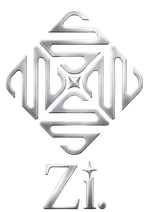 Zi Origin